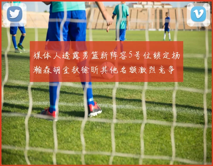 媒体人透露男篮新阵容5号位锁定杨瀚森胡金秋徐昕其他名额激烈竞争